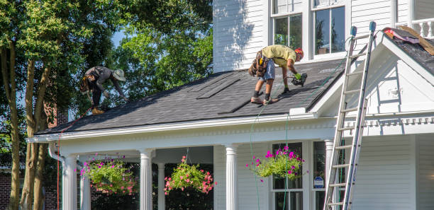 Best Roof Leak Repair  in Bear Creek, AK